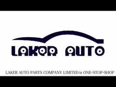 Laker: il vostro fornitore di soluzioni per batterie personalizzate