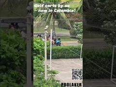 Veicolo turistico BS-4R-La a quattro file da 8-11 posti Semi chiuso in vendita