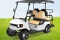 Customized Off-Road Acido di piombo Batteria Caccia Buggy Miglior carrello da golf elettrico