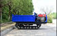 3 tonnellate Trail Dumper Full Hydraulic Crawler Carrier Crawler Mini Transport Dumper In vendita