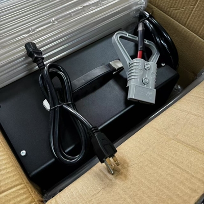 Caricatore di batteria per carrelli elevatori ESCH di alta qualità serie 24V 15A con ventola silenziosa di raffreddamento