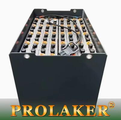 Batteria per carrello elevatore da 48V 450Ah per TCM FRB20-6 al piombo-acido