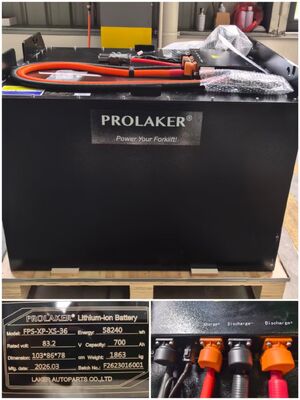 Batteria agli ioni di litio ad alta capacità e sicura, dotata di un affidabile sistema di protezione BMS integrato, esente da manutenzione e di lunga durata, compatibile con la maggior parte dei marchi di carrelli elevatori